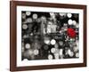 A Kiss in the Night (BW)-Dianne Loumer-Framed Giclee Print