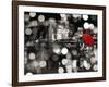 A Kiss in the Night (BW)-Dianne Loumer-Framed Giclee Print