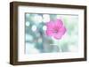 A Kiss of Light-Jacob Berghoef-Framed Photographic Print