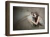 A Kiss-null-Framed Art Print