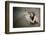 A Kiss-Olga Mest-Framed Photographic Print