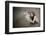 A Kiss-Olga Mest-Framed Photographic Print