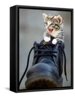 A Kitten in a Boot-null-Framed Stretched Canvas