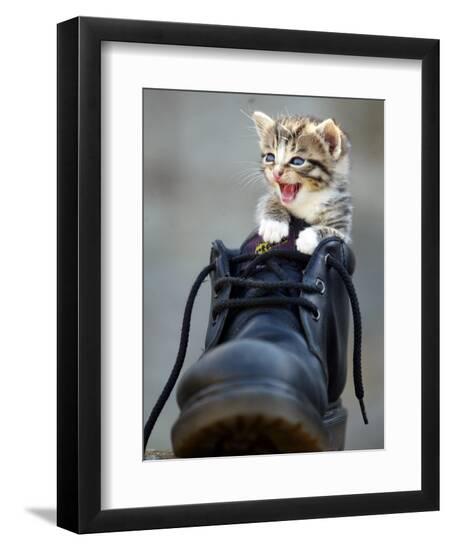 Premium Photographic Print, , large