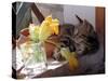 A Kitten Playing with Flower, August 1997-null-Stretched Canvas
