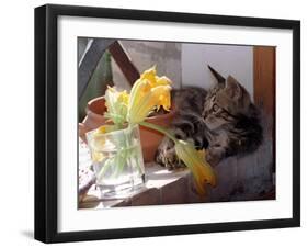 A Kitten Playing with Flower, August 1997-null-Framed Premium Photographic Print