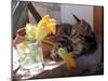 A Kitten Playing with Flower, August 1997-null-Mounted Premium Photographic Print