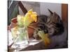 A Kitten Playing with Flower, August 1997-null-Stretched Canvas