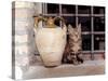 A Kitten Sitting on a Window Sill, August 1997-null-Stretched Canvas