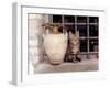 A Kitten Sitting on a Window Sill, August 1997-null-Framed Photographic Print