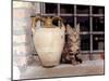 A Kitten Sitting on a Window Sill, August 1997-null-Mounted Photographic Print