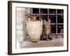 A Kitten Sitting on a Window Sill, August 1997-null-Framed Photographic Print