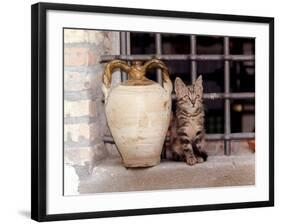 A Kitten Sitting on a Window Sill, August 1997-null-Framed Photographic Print