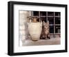 A Kitten Sitting on a Window Sill, August 1997-null-Framed Photographic Print