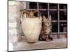 A Kitten Sitting on a Window Sill, August 1997-null-Mounted Photographic Print