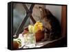 A Kitten Watching Through a Window, August 1997-null-Framed Stretched Canvas