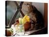 A Kitten Watching Through a Window, August 1997-null-Stretched Canvas