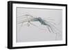 A Knot of Grass, 1995-Rebecca John-Framed Giclee Print