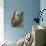 A Koala Finds the Perfect Perch-null-Stretched Canvas displayed on a wall