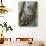 A Koala Finds the Perfect Perch-null-Premium Photographic Print displayed on a wall