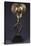 A Kota Brass-Covered Reliquary Figure-null-Stretched Canvas