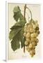 Gramercy White