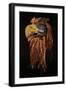 A Kwakiutl Thunderbird Mask, Red Cedar-null-Framed Giclee Print