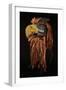 A Kwakiutl Thunderbird Mask, Red Cedar-null-Framed Giclee Print