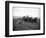 A.L. Brown Farm, Sherlock, Washington (ca. 1909)-Ashael Curtis-Framed Giclee Print