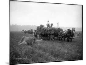 A.L. Brown Farm, Sherlock, Washington (ca. 1909)-Ashael Curtis-Mounted Giclee Print