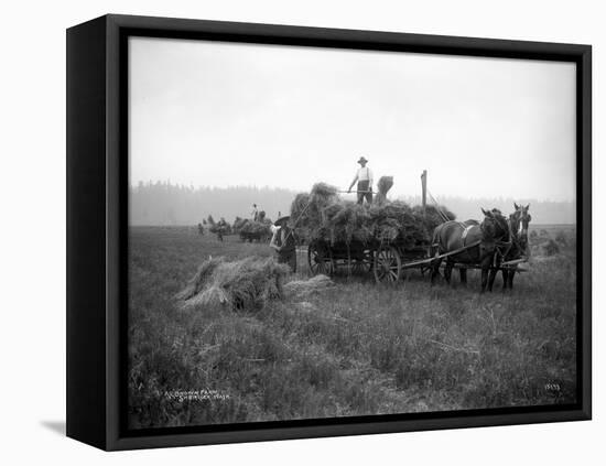 A.L. Brown Farm, Sherlock, Washington (ca. 1909)-Ashael Curtis-Framed Stretched Canvas