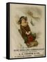 A. L. Foster & Co., A Girl on a Toboggan Sledding Down Hill, National Museum of American History-null-Framed Stretched Canvas