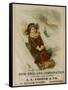 A. L. Foster & Co., A Girl on a Toboggan Sledding Down Hill, National Museum of American History-null-Framed Stretched Canvas