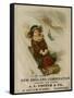 A. L. Foster & Co., A Girl on a Toboggan Sledding Down Hill, National Museum of American History-null-Framed Stretched Canvas