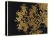 A Lacquer Box Decorated with Chrysanthemums, 20th Century-Okada Beisanjin-Stretched Canvas