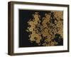 A Lacquer Box Decorated with Chrysanthemums, 20th Century-Okada Beisanjin-Framed Giclee Print