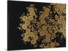 A Lacquer Box Decorated with Chrysanthemums, 20th Century-Okada Beisanjin-Stretched Canvas