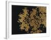 A Lacquer Box Decorated with Chrysanthemums, 20th Century-Okada Beisanjin-Framed Giclee Print