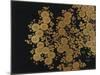 A Lacquer Box Decorated with Chrysanthemums, 20th Century-Okada Beisanjin-Mounted Giclee Print