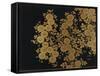 A Lacquer Box Decorated with Chrysanthemums, 20th Century-Okada Beisanjin-Framed Stretched Canvas