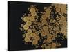 A Lacquer Box Decorated with Chrysanthemums, 20th Century-Okada Beisanjin-Stretched Canvas