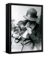 A Lady Holds a Young Chimpanzee at London Zoo, June 1922-Frederick William Bond-Framed Stretched Canvas