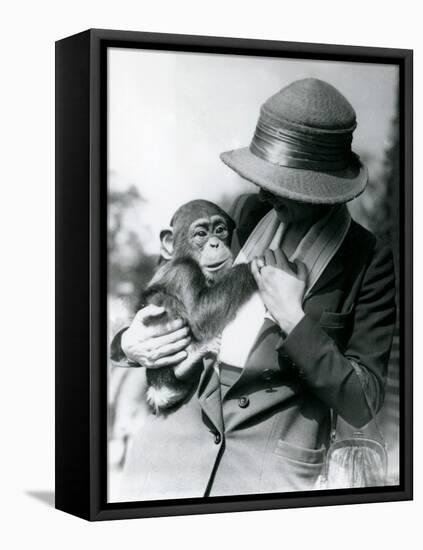 A Lady Holds a Young Chimpanzee at London Zoo, June 1922-Frederick William Bond-Framed Stretched Canvas