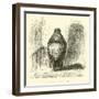 A Lady of Cuzco-Édouard Riou-Framed Giclee Print