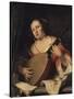 A Lady Playing the Lute, 1654-Ferdinand Bol-Stretched Canvas