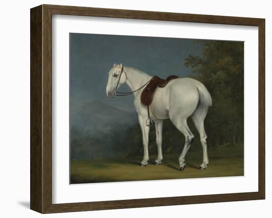 A Lady's Grey Hunter, C.1806-Jacques-Laurent Agasse-Framed Premium Giclee Print