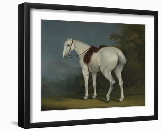 A Lady's Grey Hunter, C.1806-Jacques-Laurent Agasse-Framed Premium Giclee Print