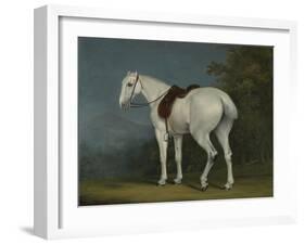 A Lady's Grey Hunter, C.1806-Jacques-Laurent Agasse-Framed Premium Giclee Print