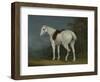 A Lady's Grey Hunter, C.1806-Jacques-Laurent Agasse-Framed Giclee Print