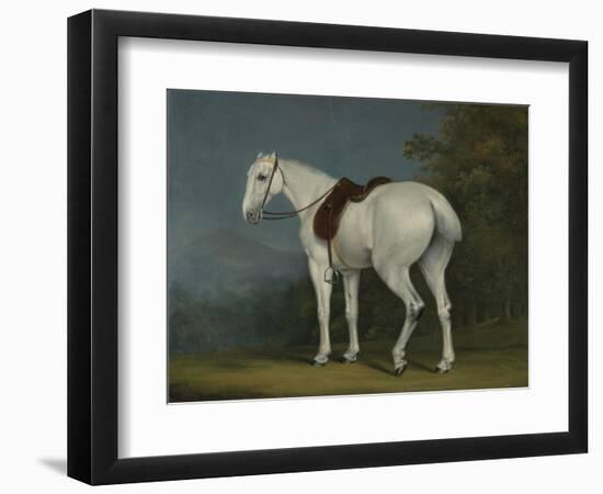 A Lady's Grey Hunter, C.1806-Jacques-Laurent Agasse-Framed Giclee Print